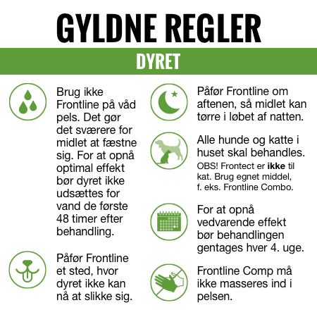 Gyldne regler til Frontect