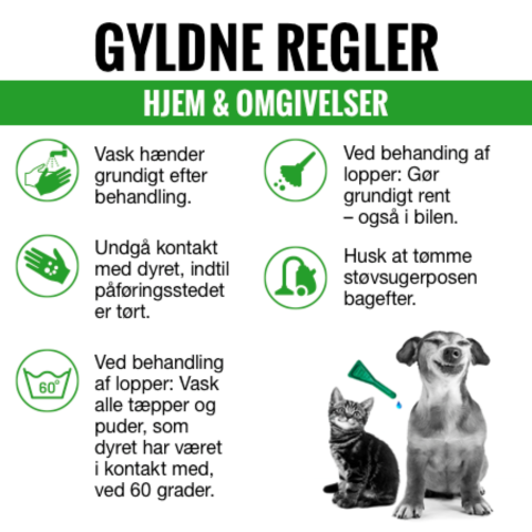 Gyldne regler hjem og omgivelser