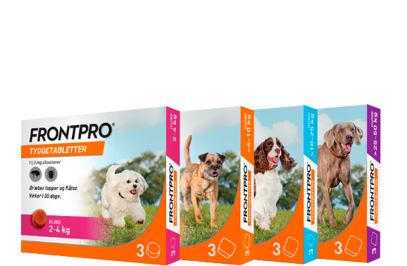 FRONTPRO tyggetabletter - Frihed til kærlighed