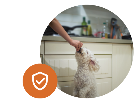 Frihed til kærlighed