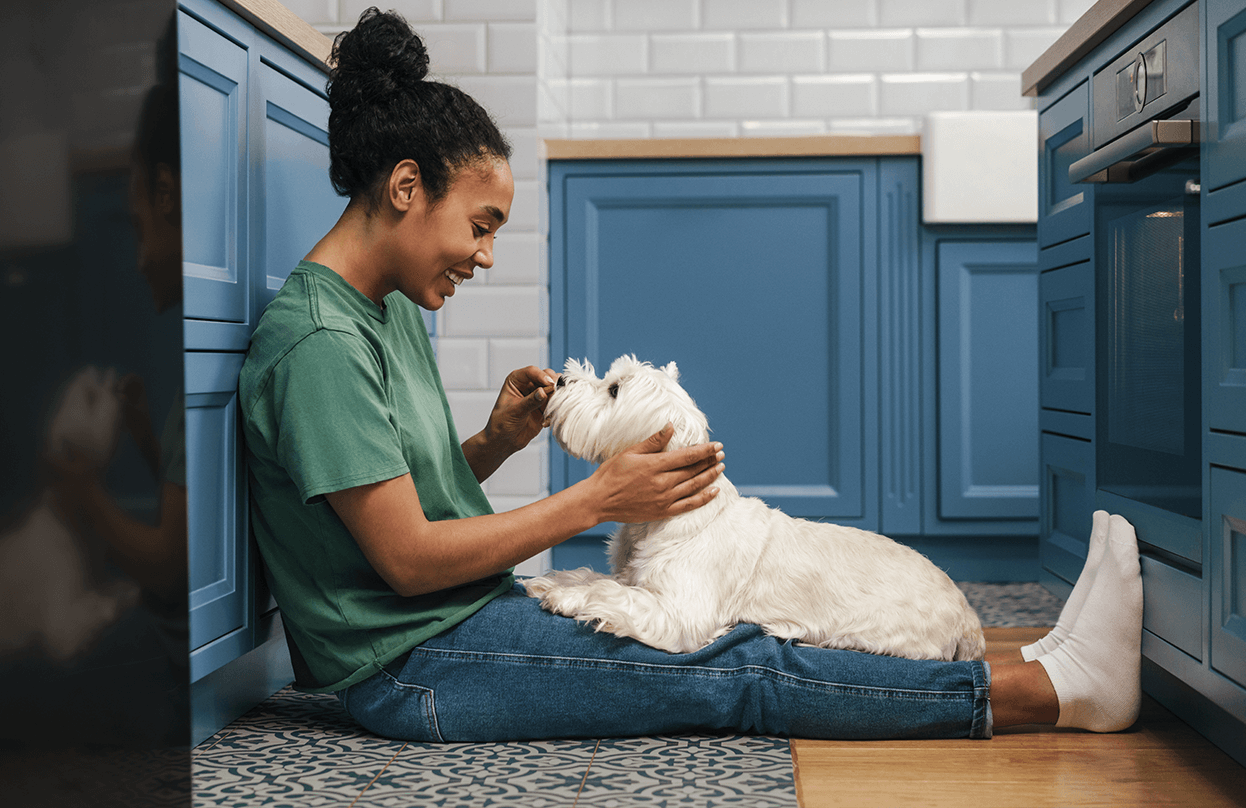 NYT! Tyggetabletter mod flåter og lopper til din hund