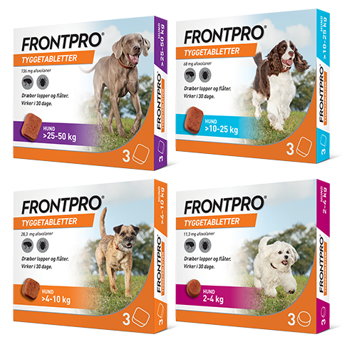 FRONTPRO
