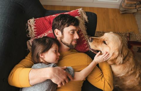 Hvad er tyggetabletter mod lopper og flåter?