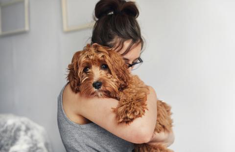 Sådan virker FRONTPRO tyggetabletter